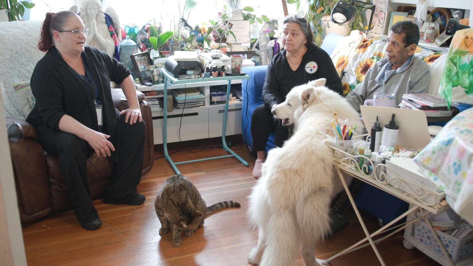 AMERICAN CAREQUEST PALLIATIVE CARE AND HOSPICE FOUNDATION