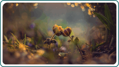 Intimacy and Sexuality at the End of Life